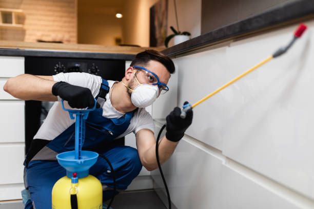 Best Insect Control  in Allentown, PA