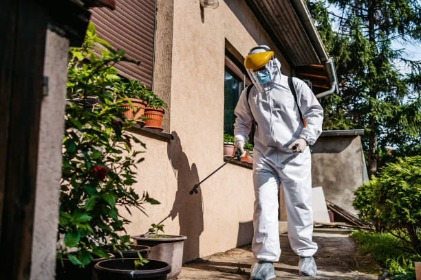 Best Pest Removal Services  in Allentown, PA