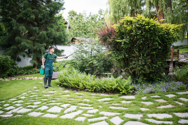 Best Residential Pest Control  in Allentown, PA