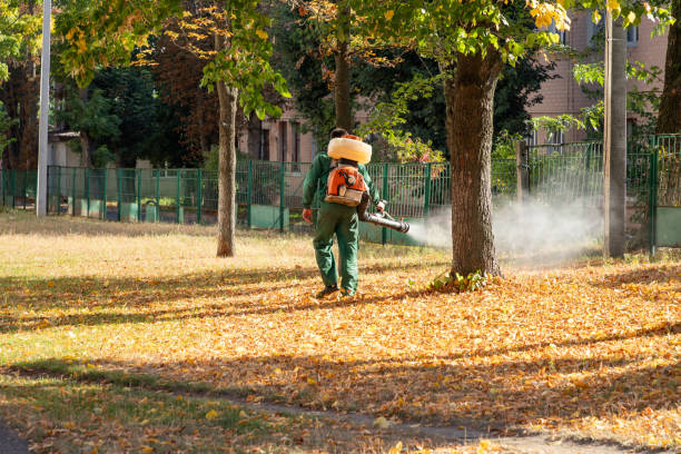 Best Local Pest Control Services  in Allentown, PA