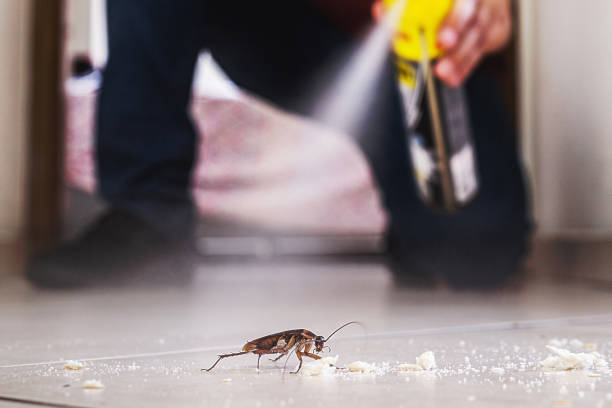 Pest Control for Restaurants in Allentown, PA